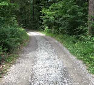 Wanderweg Märchensee Runde