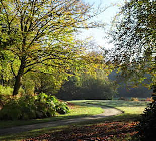 Herbstspaziergang durch den Schlosspark Lütetsburg