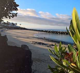 Playa Flamingo