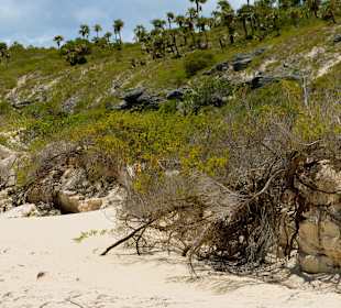 Pillar beach