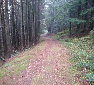 Wandern St. Kathrein am Offenegg