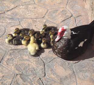 Am Eingang des Parkes