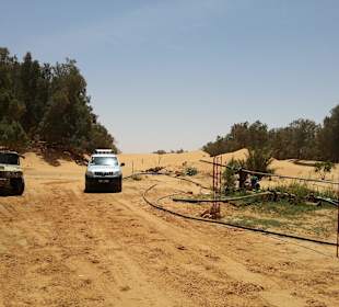 Jeep-Tour Ksar Ghilane