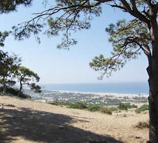 Von den Dünen zum Strand