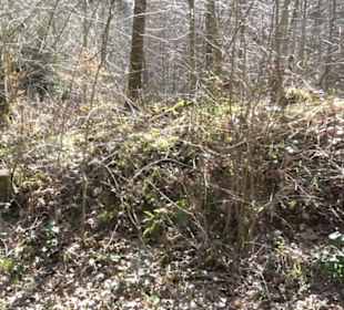 Historischer Rundwanderweg Aichtal