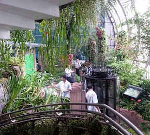 Butterfly Park