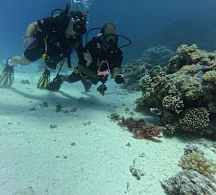 Tauchlehrer zeigt auf einen Skorpionfisch