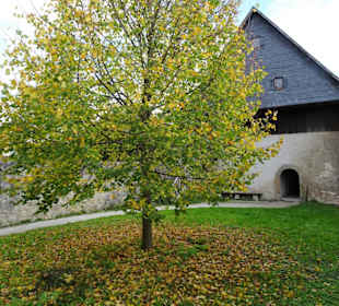 Im Innenhof der Burg Zwernitz
