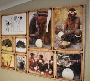 Straußenfarm Oudtshoorn