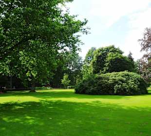 Hochsommer im Kurpark Bruchhausen-Vilsen