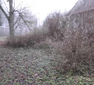 Wallfahrtskirche Maria Buch