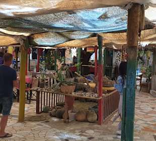 Mittagessen an Drachenfels