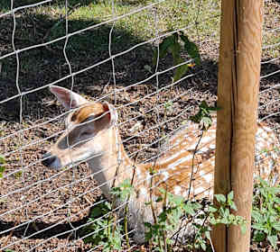 Stadtrundgang Bad Füssing