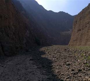 Wadi Wurayah Biosphere Reserve