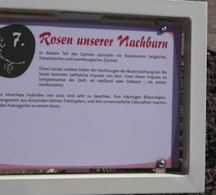 Rosengarten 