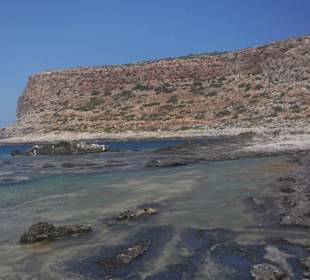 Tolle Farbenvielfalt!