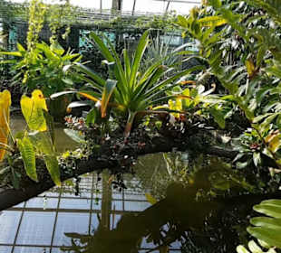 Botanischer Garten