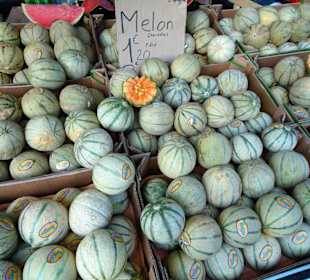 Rundgang über den Wochenmarkt von Argelès-Plage 