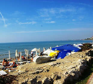 Inspirationen an d.Strandprom.entlang Nov.2010