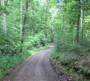 Wanderweg Märchensee Runde