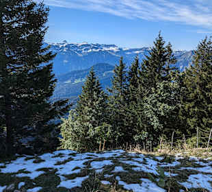 Ausblick