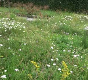 ALB-GOLD Naturgarten