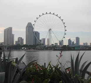 Riesenrad aus der Ferne