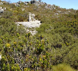 Wanderung auf denTafelberg