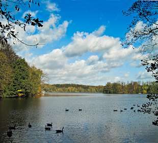 Парк Замка Ойтин. Золотая осень.