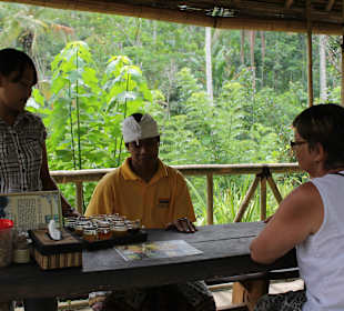 Mit Otto im Gewürzgarten