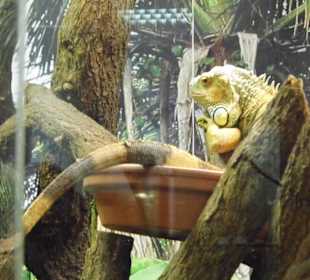 WP LH Herbst Impression