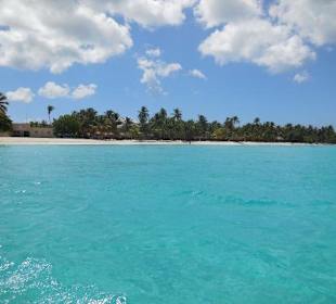 Saona