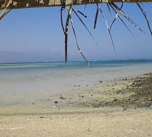 Strandszene am Nabq Visitor Center
