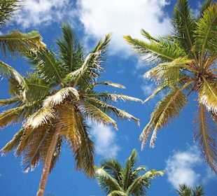 Canto de la Playa - Seavis Tours