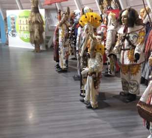 Fastnachtsmuseum Narrenschopf