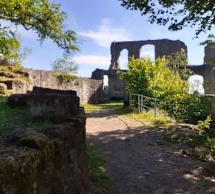Burg Falkenstein in Winnweiler