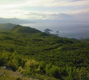 Skadar Lake