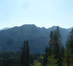 Bei einer Wanderung vom Söllereck zum Freibergsee