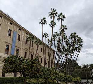 Museum Málaga