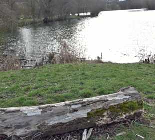 Beutwangsee Neckarhausen