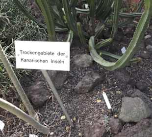 Botanischer Garten