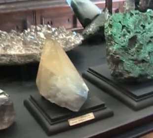 Naturhistorisches Museum 