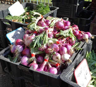 Rundgang über den Wochenmarkt von Port Vendres