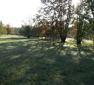 Botanischer Garten