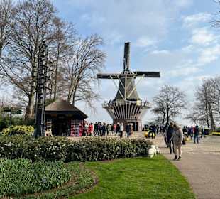 Keukenhof Holland