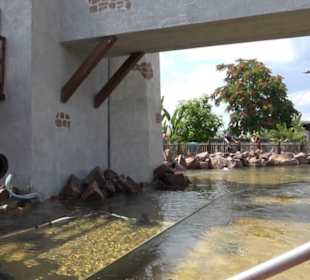 Land der Piraten - Käpt´n Nicks Piratenschlacht