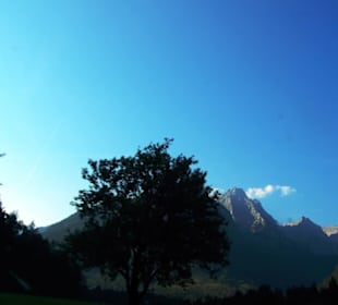 Mit Baumwipfel Zell am See