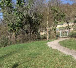 Hirschauer Spitzbergwegle (Premiumspazierwanderweg