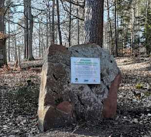 Wildpark Betzenberg in Kaiserslautern