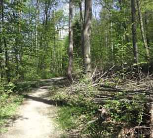 Wanderweg Hochgehwachsen